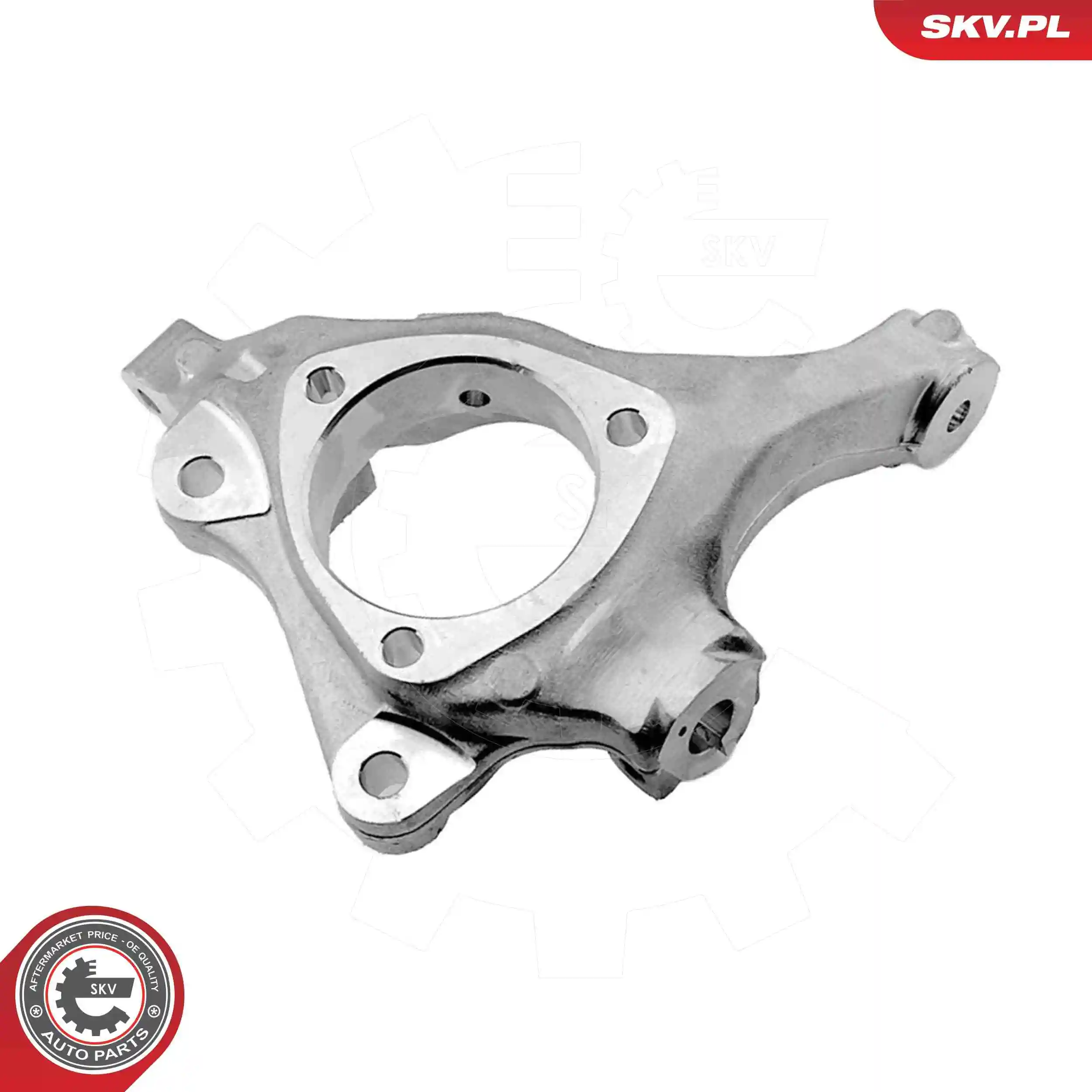 Steering Knuckle, wheel suspension